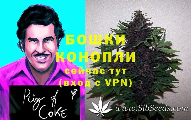 Марихуана SATIVA & INDICA  где купить наркоту  Багратионовск 